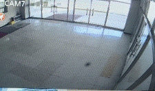 그림입니다.  원본 그림의 이름: 체육관안.gif  원본 그림의 크기: 가로 225pixel, 세로 133pixel