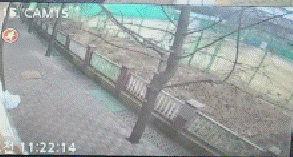 그림입니다.  원본 그림의 이름: 15.gif  원본 그림의 크기: 가로 293pixel, 세로 157pixel