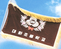 symbol_flag