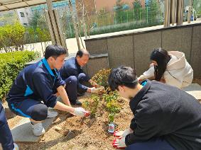학생과 함께 우리학교 교화(흑장미) 심기